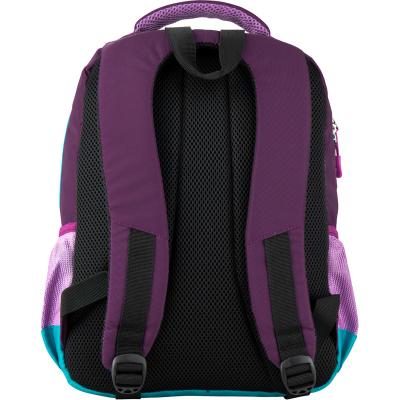 ზურგჩანთა სასკოლო KITE/GoPack GO20-113M-4