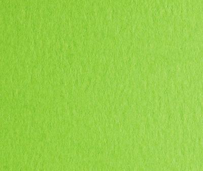 ქაღალდი ფერადი FABRIANO COLORE 50*70სმ. 200გრ. Verde pisello 44353230