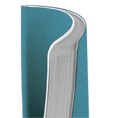 ბლოკნოტი ჩასანიშნი AXENT Nuba Soft 8604-07-A 115*160  96ფ. უჯრა
