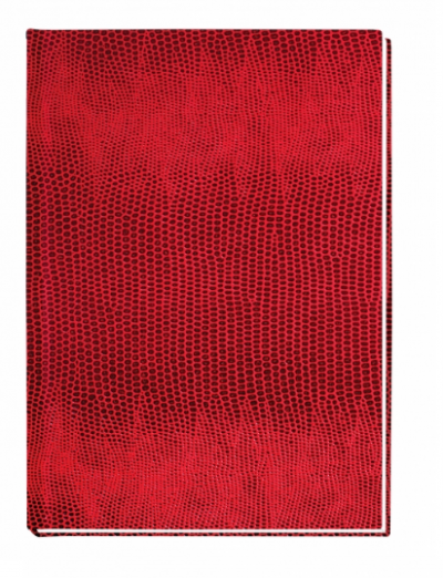 ბლოკნოტი PAPIRUS ECONOMIX А6, 80ფ. 21914