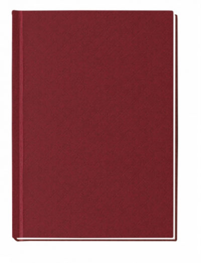 ბლოკნოტი PAPIRUS ECONOMIX А6, 80ფ. 21916