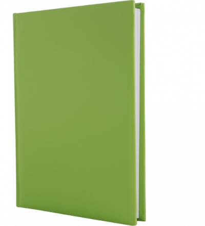 ბლოკნოტი ყოველდღიური PAPIRUS ECONOMIX А5 21717-13 LIGHT GREEN