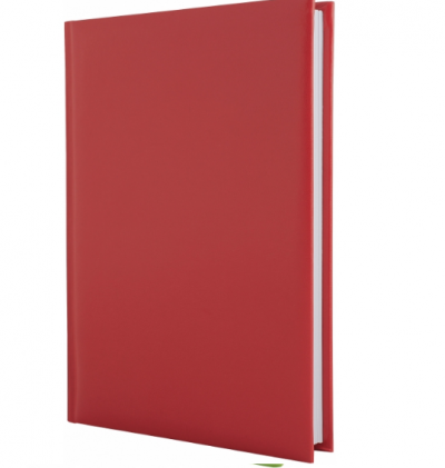 ბლოკნოტი ყოველდღიური PAPIRUS ECONOMIX А5 21717-03 RED