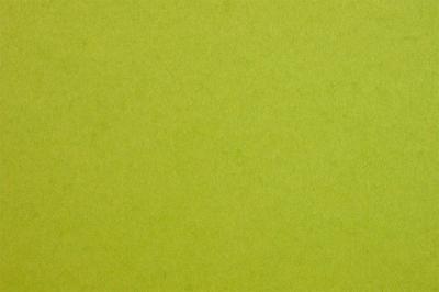 ქაღალდი ფერადი FABRIANO COLORE 50*70სმ. 200გრ. Lime 19553252