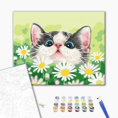 გასაფერადებელი ნომრებით BrushMe BS51569 Cat in daisies 40*50სმ. ტილო ჩარჩოზე, აკრილის საღებავი, ფუნჯები /ნაკრები/
