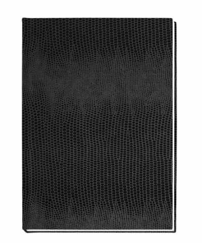 ბლოკნოტი PAPIRUS ECONOMIX А6, 80ფ. 21914