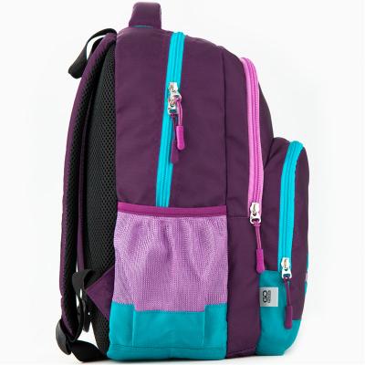 ზურგჩანთა სასკოლო KITE/GoPack GO20-113M-4